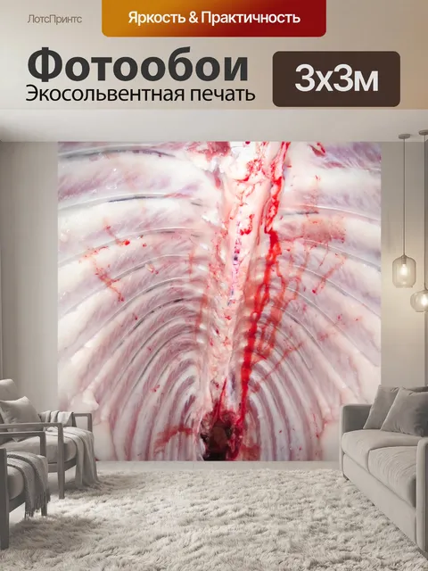 Фотообои Грудная клетка открыта