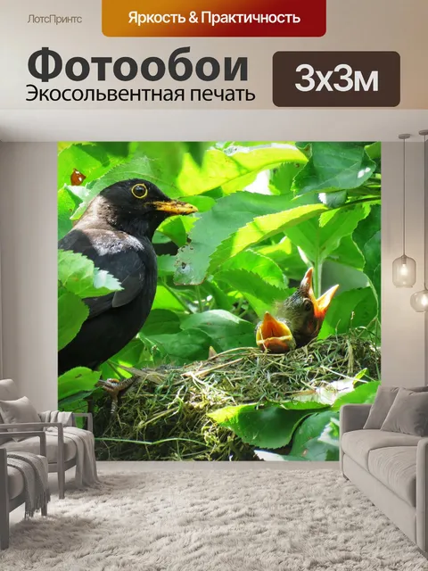 Фотообои Черный дрозд