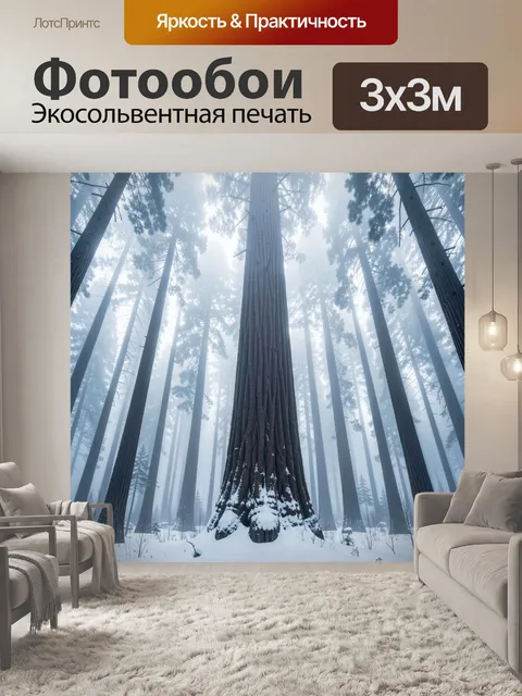 Фотообои Туманный лес с высокими секвойями