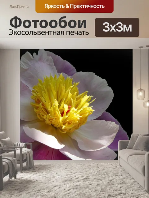Фотообои Пион