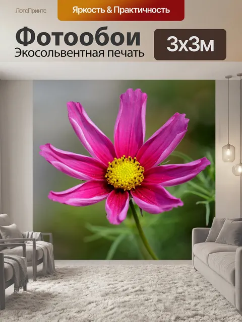 Фотообои Цветок, розовый