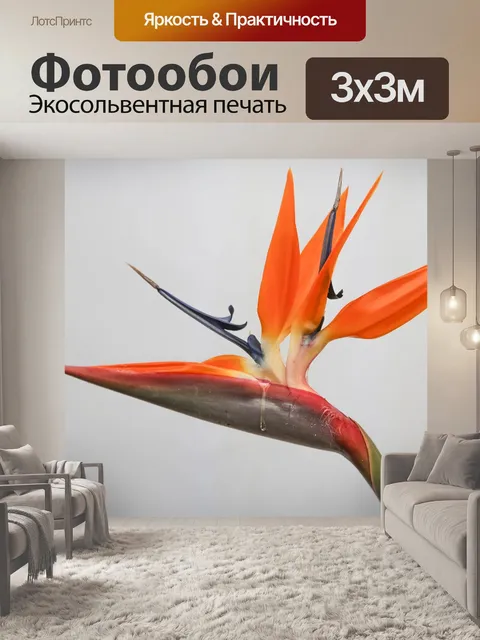 Фотообои Райская птица
