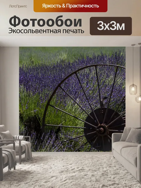Фотообои французская лаванда