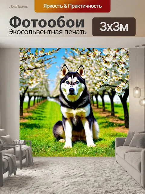 Фотообои хаски на фоне яблоневого сада, цветущие ветви вокруг, весеннее буйство природы