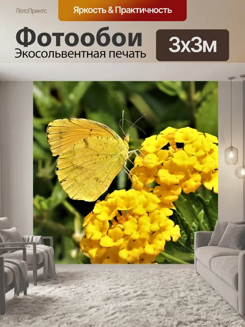 Фотообои Желтая бабочка на желтых цветках