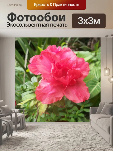 Фотообои Азалия