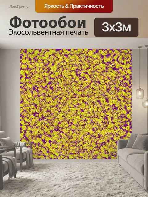 Фотообои абстракция в стиле двухмерная иллюстрация