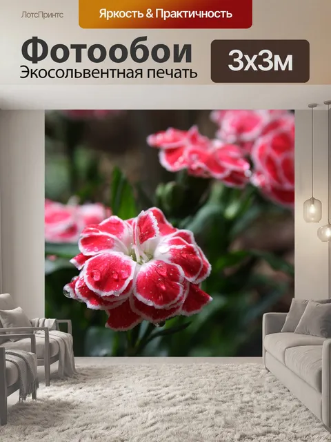 Фотообои Цветы