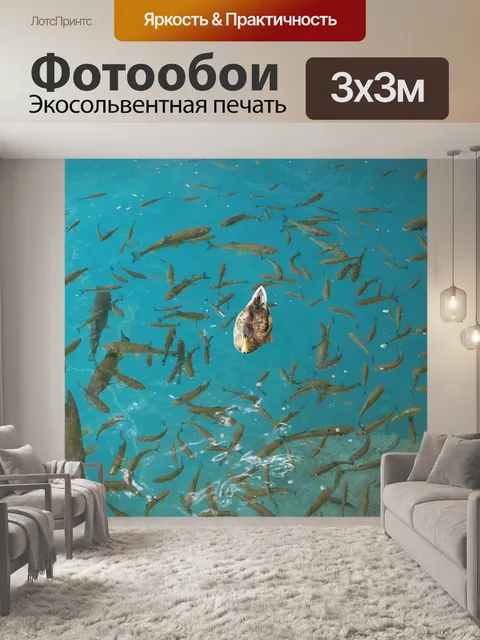 Фотообои Утка
