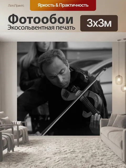 Фотообои Скрипачь