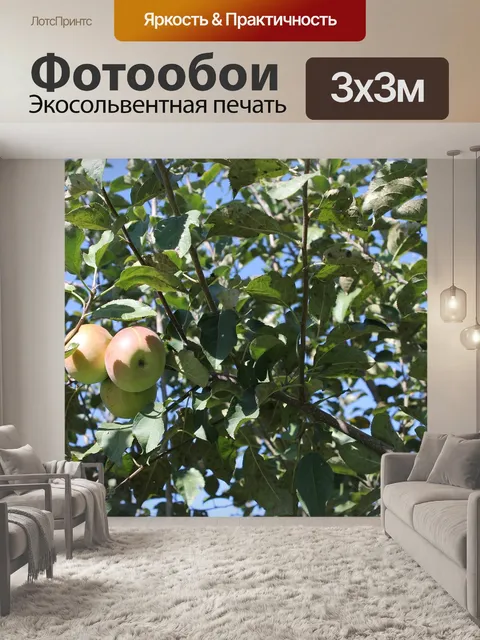 Фотообои Яблоко