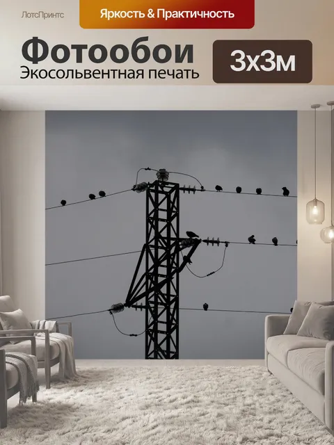 Фотообои Электрические кабели