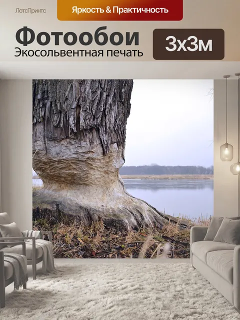 Фотообои Ствол дерева