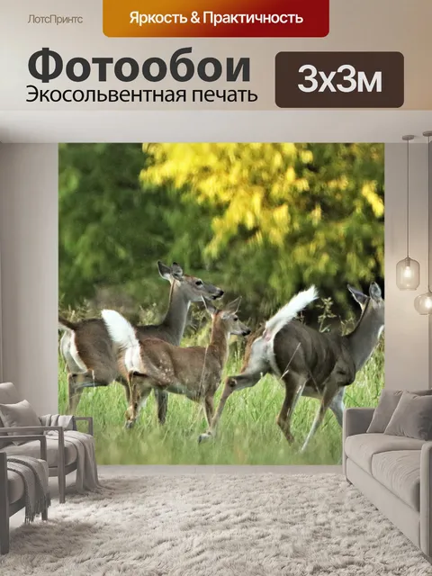 Фотообои Белого хвоста оленя бегут