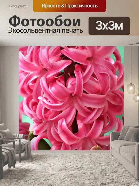 Фотообои Розовый гиацинт цветок крупным планом