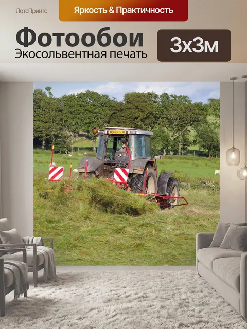 Фотообои Сено