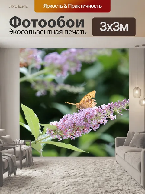 Фотообои Butterfly - средний жемчужный