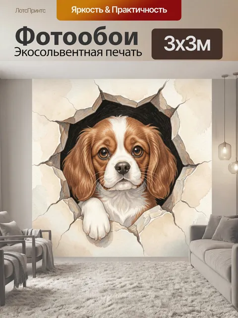 Фотообои Щенок кавалер-кинг-чарльз-спаниеля