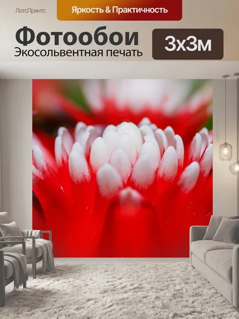 Фотообои Бромелию