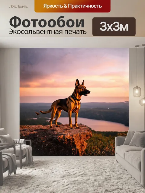 Фотообои овчарка, бельгийский малинуа, стоит на краю утеса, с которого открывается потрясающий вид на ухоженный…