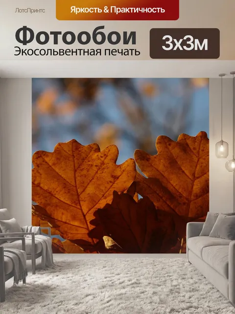 Фотообои Дубовые листья