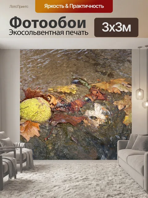 Фотообои Осенние листья в потоке