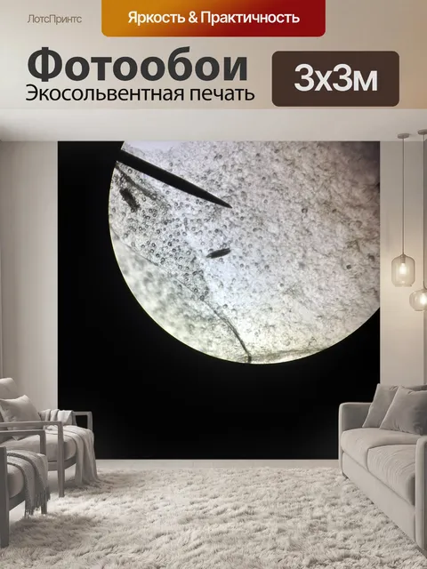 Фотообои Микроскоп
