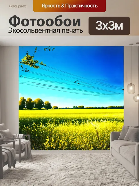 Фотообои линия электропередачи