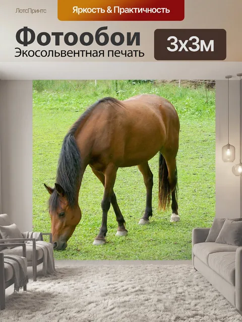 Фотообои Коричневая лошадь
