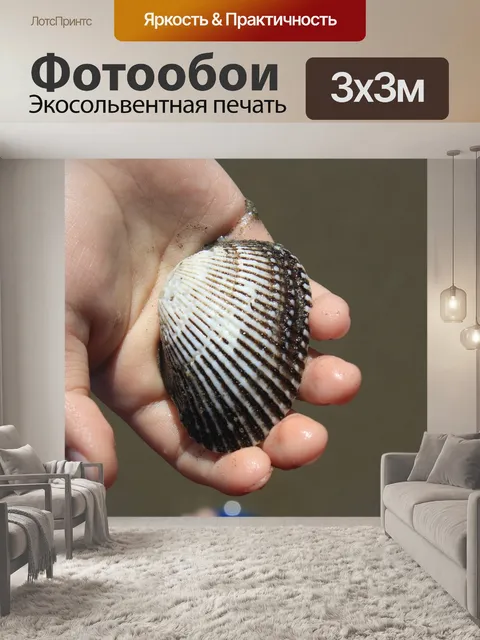 Фотообои Оболочка