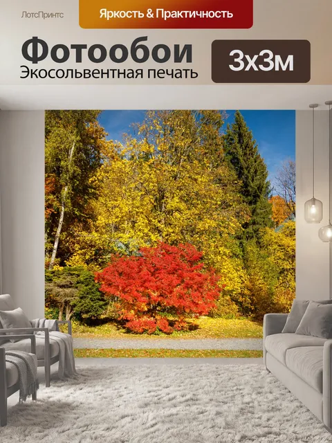 Фотообои Осенние деревья
