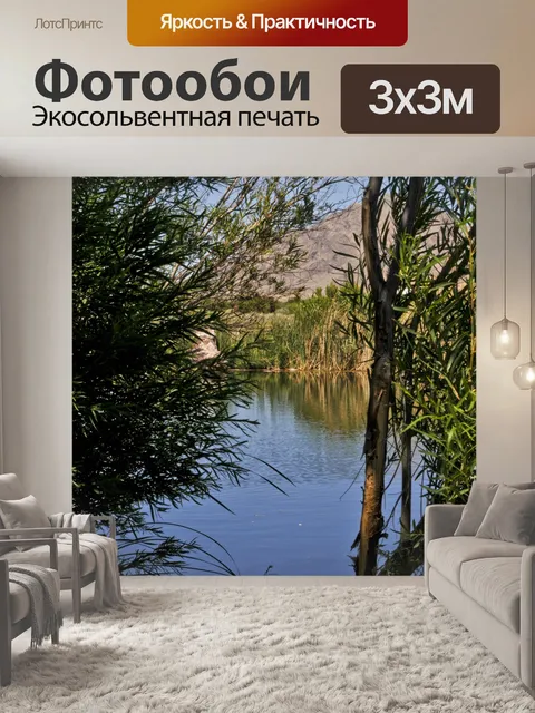 Фотообои Пустынные заболоченные земли