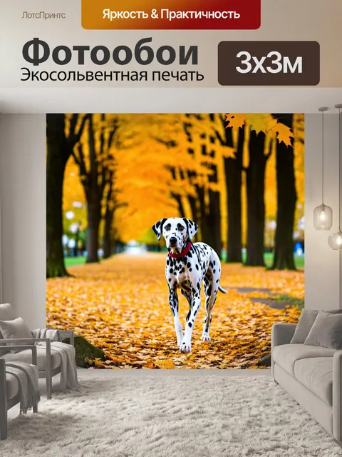 Фотообои далматинец, гуляющий по парку в осенний день, золотые листья, спокойная обстановка