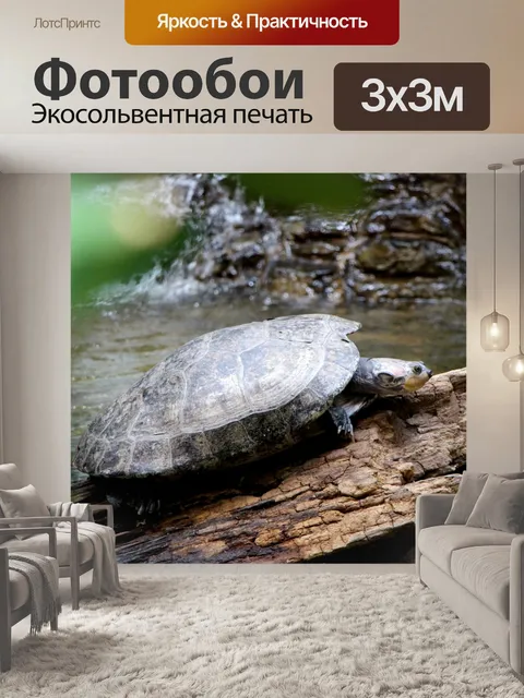 Фотообои Черепаха на журнал