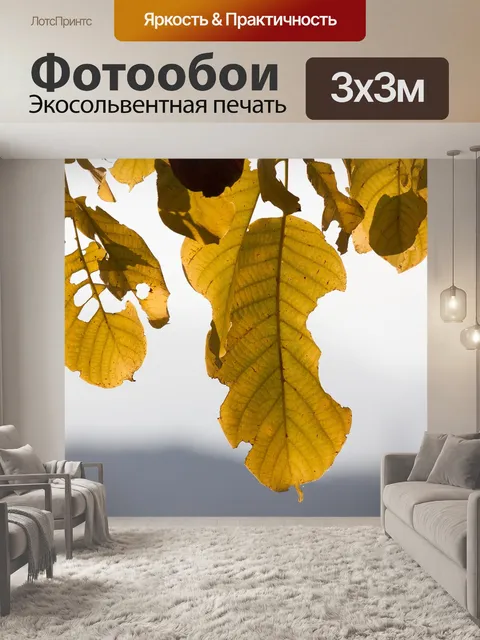 Фотообои Лист