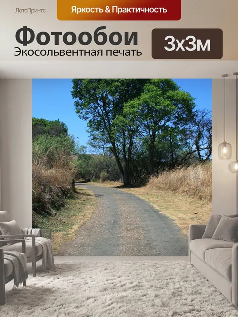 Фотообои высокое дерево на изгибе дороги