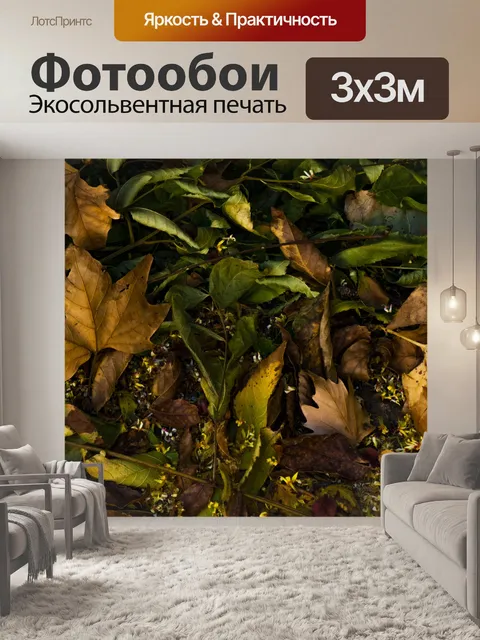 Фотообои Падшие листья