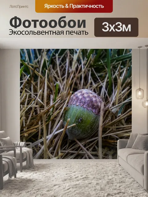 Фотообои Желудь в траве