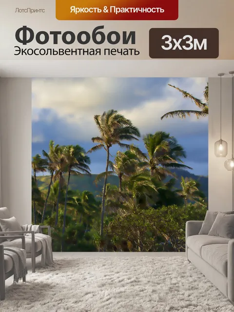 Фотообои Пальмовые деревья