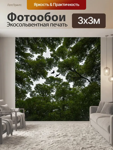 Фотообои лес с летящими птицами над густыми кронами деревьев