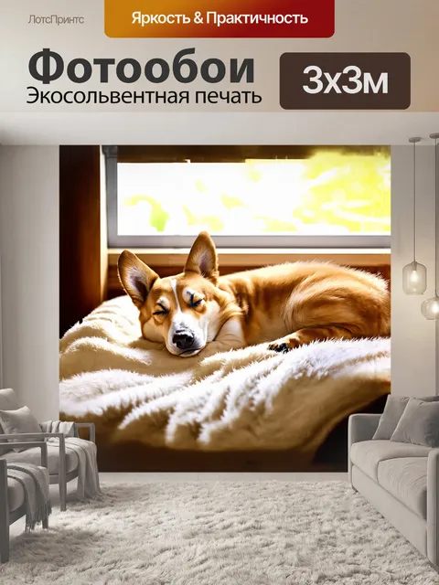 Фотообои на мягком пледе в уютной комнате корги нежно спит, свернувшись калачиком