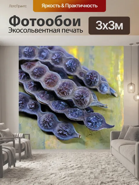 Фотообои стручки ароматной акации