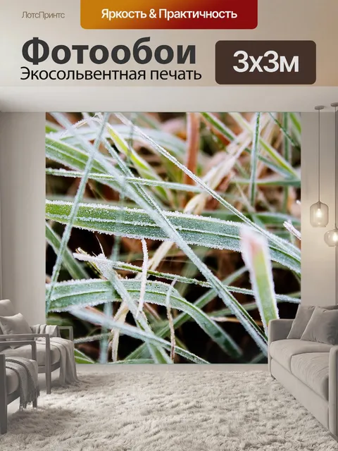 Фотообои Трава