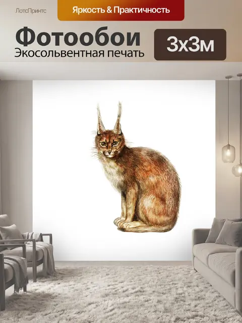 Фотообои Рысь животных старинный плакат