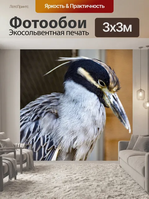 Фотообои Ночная цапля