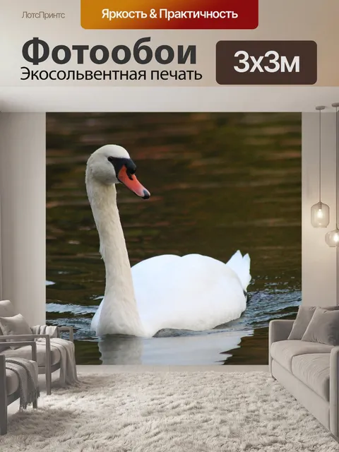 Фотообои Лебедь