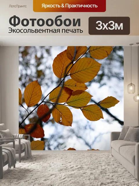 Фотообои Листья