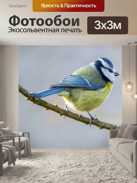 Фотообои Весенняя синяя синица