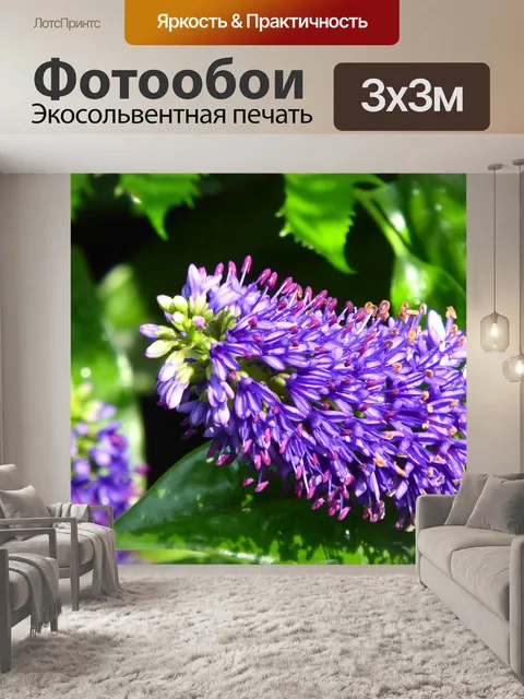 Фотообои Завод