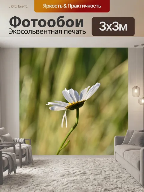 Фотообои Цветок